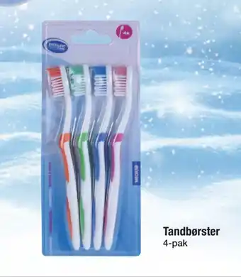 Tandbørster