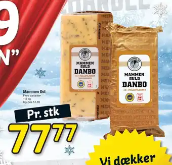 Fakta Tyskland Mammen Ost tilbud