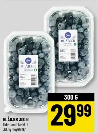 Løvbjerg BLÅBÆR 300 G tilbud