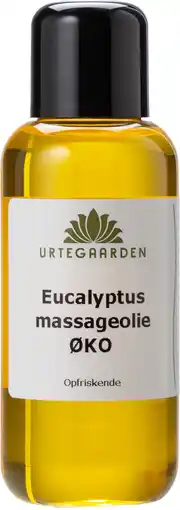 Eucalyptus massageolie Øko