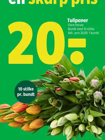 Coop 365 Tulipaner tilbud