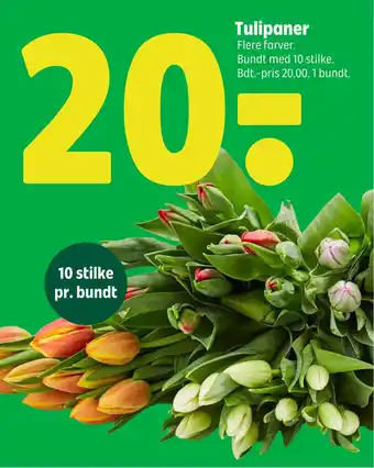 Coop 365 Tulipaner tilbud