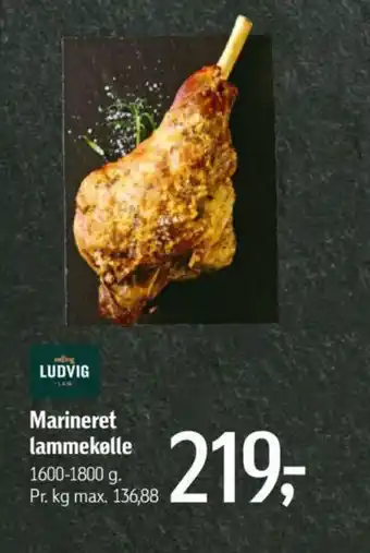 Føtex Marineret lammekølle tilbud