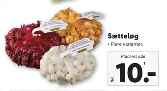 Lidl Sætteløg tilbud