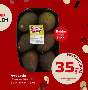 SuperBrugsen Avocado tilbud