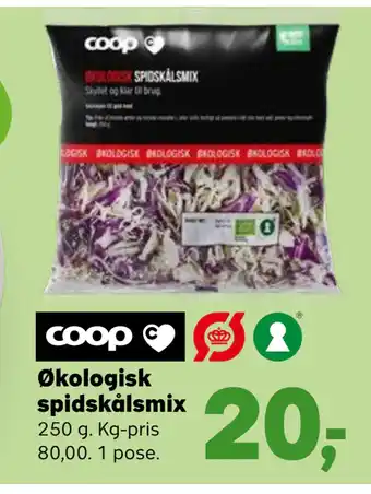 SuperBrugsen Økologisk spidskålsmix tilbud