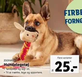 Lidl Hundelegetøj tilbud