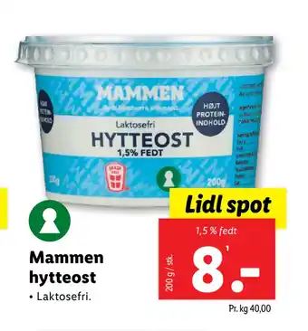 Lidl Mammen hytteost tilbud