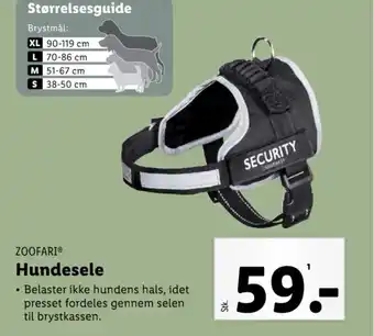 Lidl Hundesele tilbud