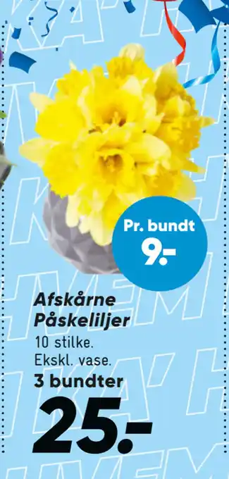 Bilka Afskårne Påskeliljer tilbud