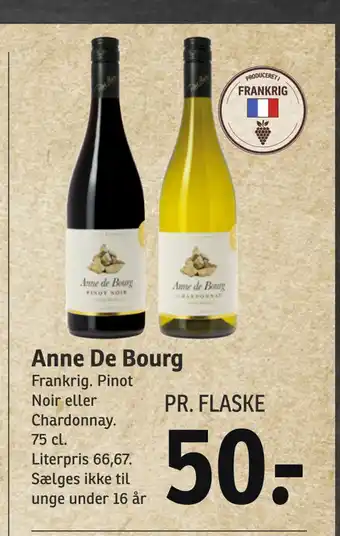 Anne De Bourg