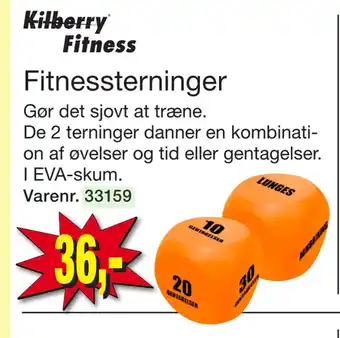 Fitnessterninger