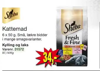 Harald Nyborg Kattemad tilbud