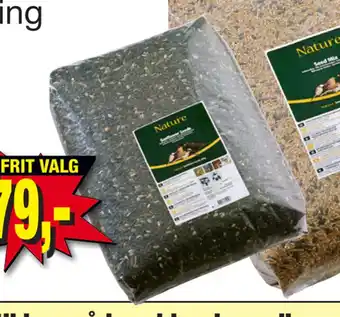 Harald Nyborg Solsikkefrø tilbud