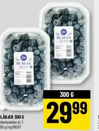 Løvbjerg BLÅBÆR 300 G tilbud