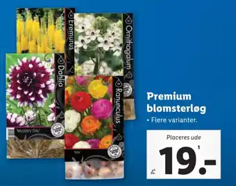 Lidl Premium blomsterløg tilbud