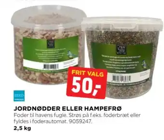 JORDNØDDER ELLER HAMPEFRØ