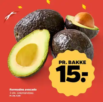 Netto Formodne avocado tilbud