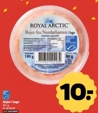 Netto Rejer i lage tilbud