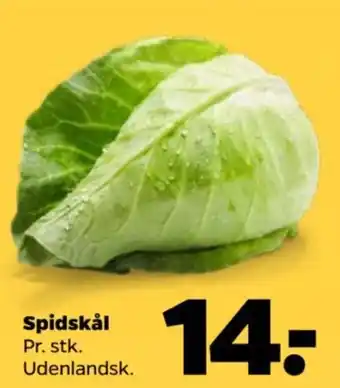 Netto Spidskål tilbud