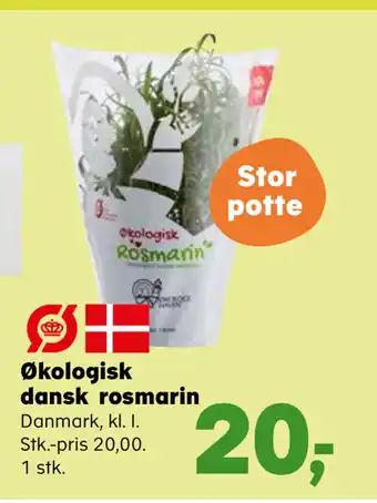 Kvickly Økologisk dansk rosmarin tilbud