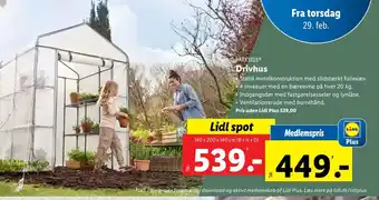 Lidl Drivhus tilbud