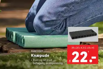 Knæpude