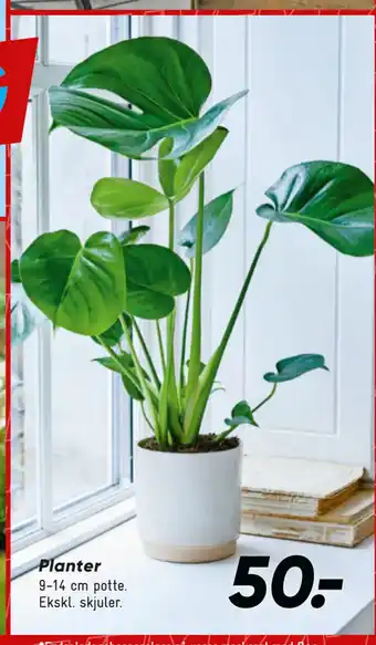 Bilka Planter tilbud