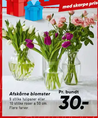 Bilka Afskårne blomster tilbud