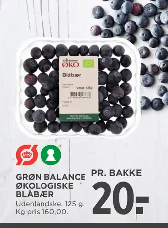MENY GRØN BALANCE ØKOLOGISKE BLÅBÆR tilbud