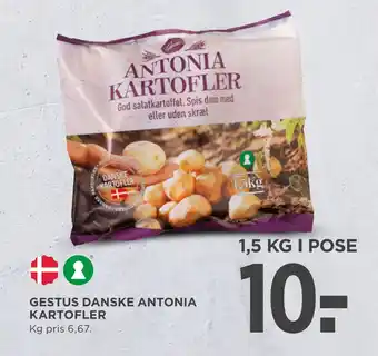 GESTUS DANSKE ANTONIA KARTOFLER