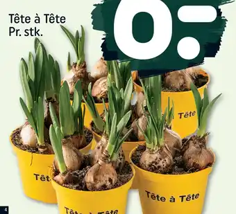 REMA 1000 Tête à Tête Pr. stk tilbud