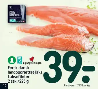 REMA 1000 Fersk dansk landopdrættet laks Laksefileter 2 stk./225 g tilbud