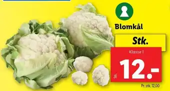 Lidl Blomkål tilbud