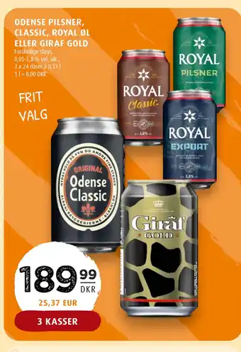 Scandinavian Park ODENSE PILSNER, CLASSIC, ROYAL ØL ELLER GIRAF GOLD tilbud