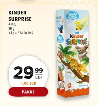 Scandinavian Park KINDER SURPRISE tilbud