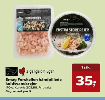 Smag Forskellen håndpillede koldtvandsrejer