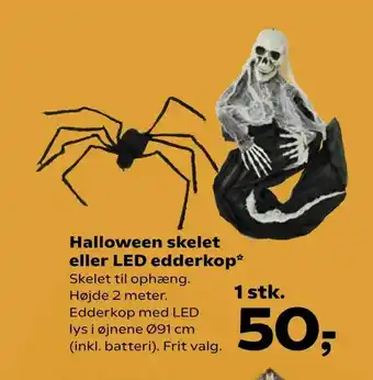 SuperBrugsen Halloween skelet eller LED edderkop tilbud