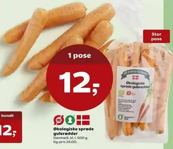 Økologiske sprøde gulerødder
