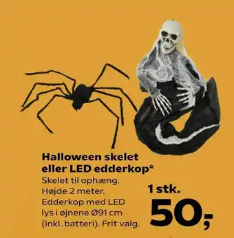 Kvickly Halloween skelet eller LED edderkop tilbud