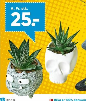 Bilka Planter i Halloween skjuler tilbud