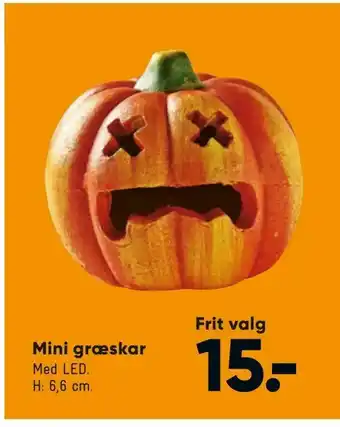 Bilka Mini græskar tilbud