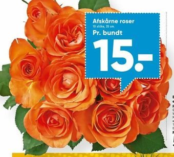 Bilka Afskårne roser tilbud