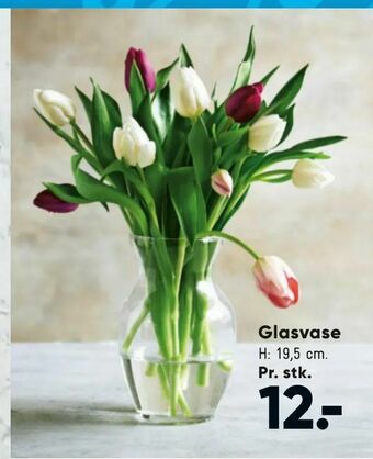 Bilka Glasvase tilbud