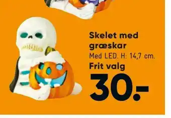 Bilka Skelet med græskar tilbud