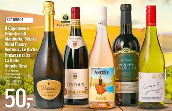 Føtex Capolavoro Primitivo di Manduria, Selaks, Vidal Fleury Ventoux, Le Arche Prosecco eller La Belle Angele Rosé tilbud