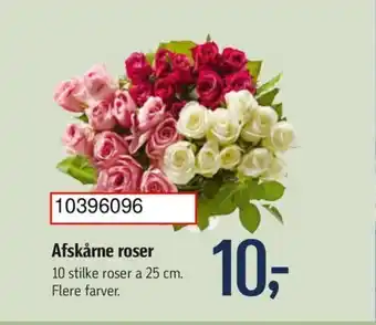 Føtex Afskårne roser tilbud