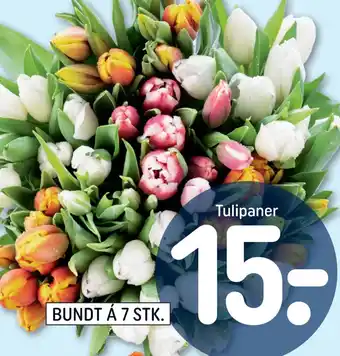 REMA 1000 Tulipaner tilbud