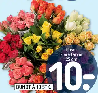 REMA 1000 Roser Flere farver 25 cm tilbud