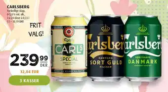 Scandinavian Park CARLSBERG Forskellige slags, 0-5,8 % vol. alk., tilbud